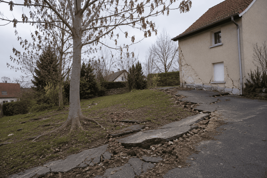 dégâts causés par des racines